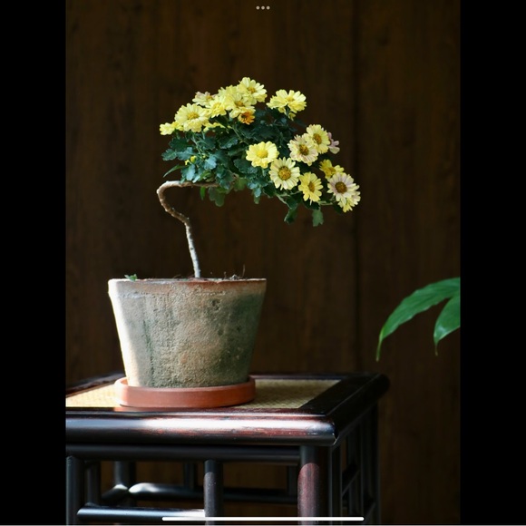 Crabtree Evelyn body oil x2 gift 🎁 set - Picture 5 of 13